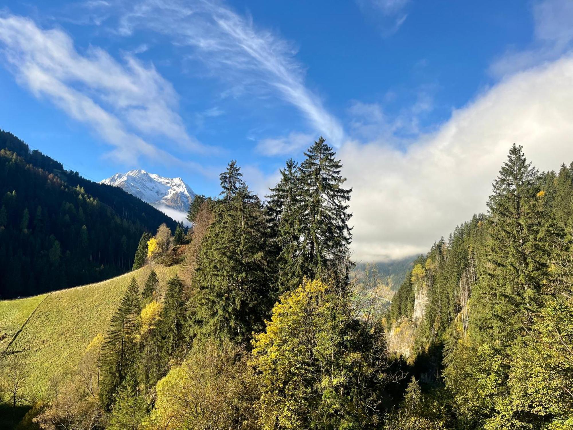 Natur Zeit - Alpine Garden Apartments Mayrhofen Kültér fotó